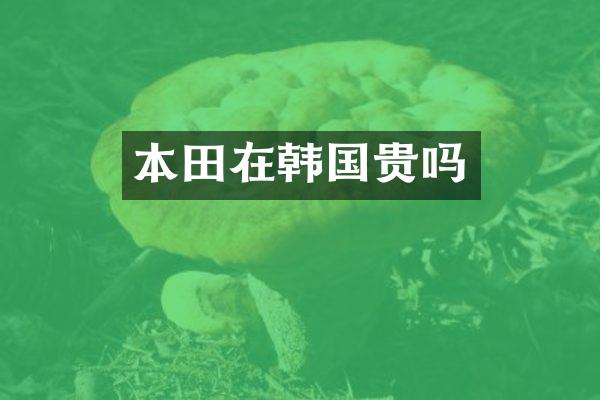 本田在韩国贵吗