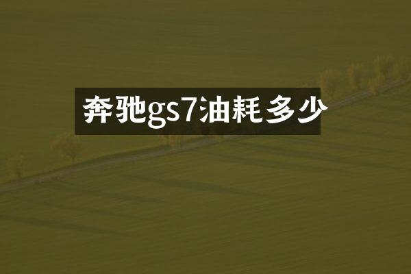 奔驰gs7油耗多少