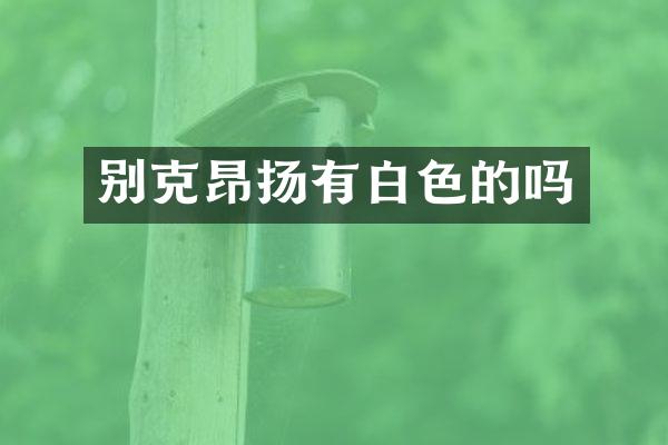 别克昂扬有白色的吗