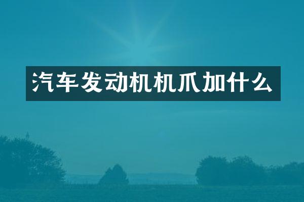 汽车发动机机爪加什么