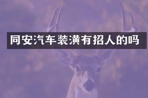 同安汽车装潢有招人的吗