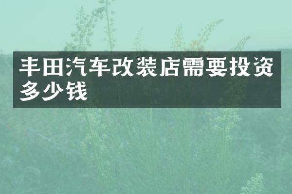 丰田汽车改装店需要投资多少钱