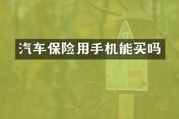 汽车保险用手机能买吗