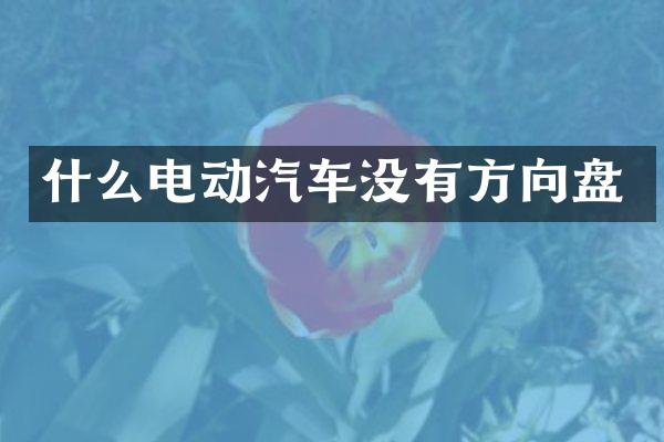 什么电动汽车没有方向盘