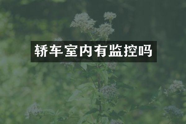 轿车室内有监控吗