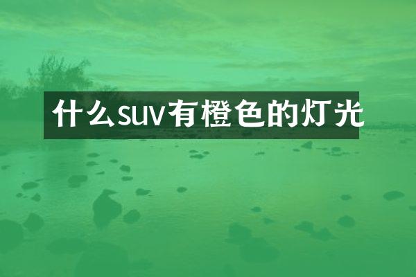 什么suv有橙色的灯光