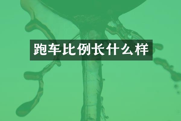 跑车比例长什么样