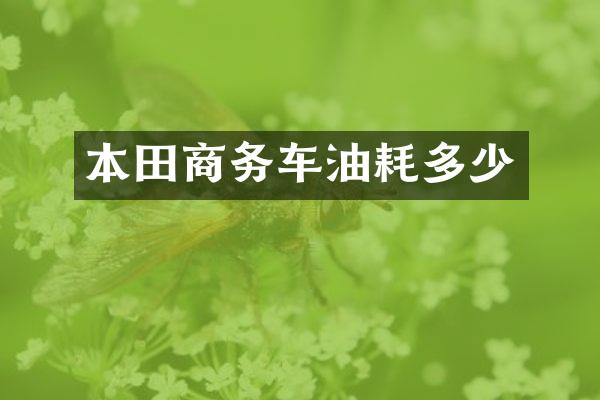 本田商务车油耗多少