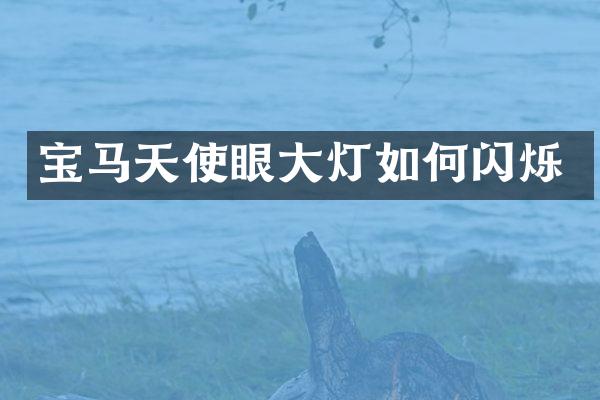 宝马天使眼大灯如何闪烁