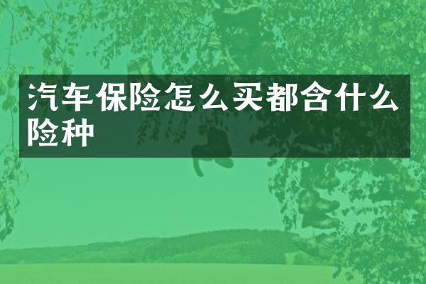 汽车保险怎么买都含什么险种