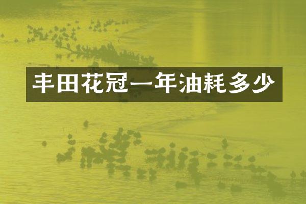 丰田花冠一年油耗多少