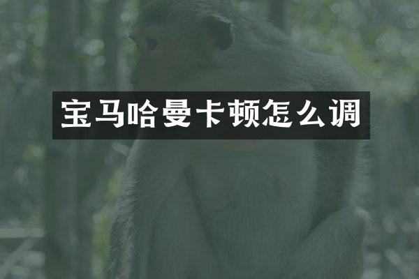 宝马哈曼卡顿怎么调