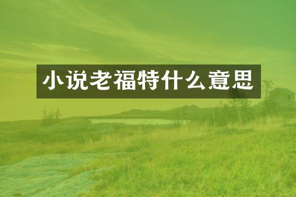 小说老福特什么意思