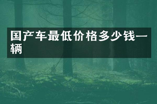 国产车最低价格多少钱一辆