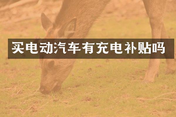 买电动汽车有充电补贴吗