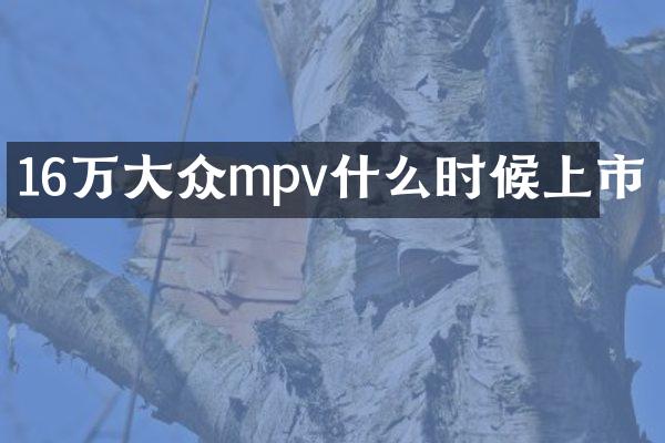 16万大众mpv什么时候上市