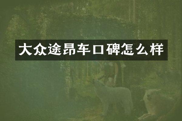 大众途昂车口碑怎么样