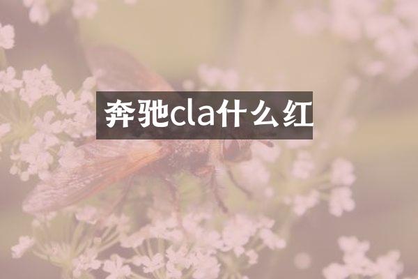 奔驰cla什么红