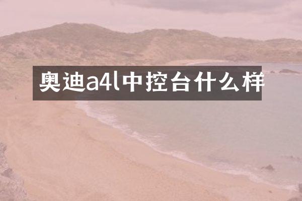 奥迪a4l中控台什么样