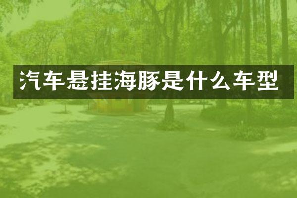 汽车悬挂海豚是什么车型