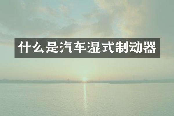 什么是汽车湿式制动器