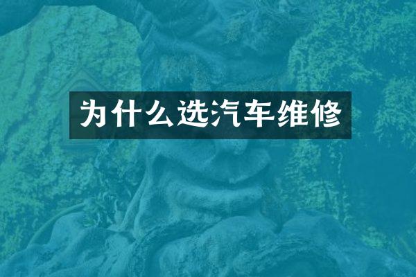 为什么选汽车维修