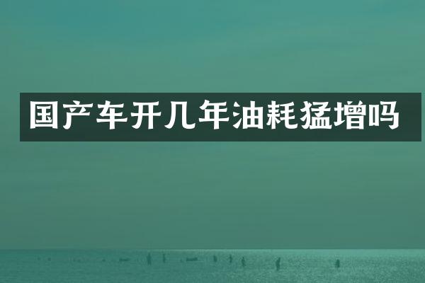 国产车开几年油耗猛增吗