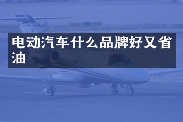 电动汽车什么品牌好又省油