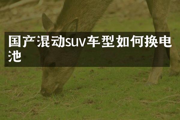 国产混动suv车型如何换电池