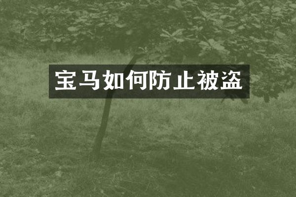 宝马如何防止被盗