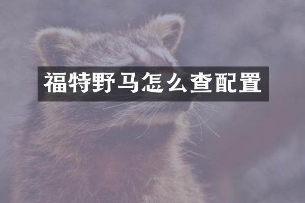 福特野马怎么查配置