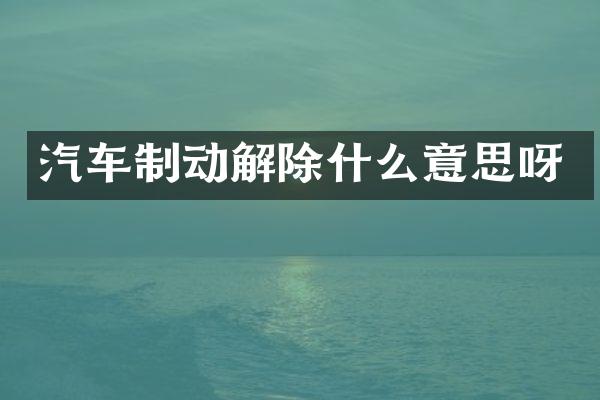 汽车制动解除什么意思呀