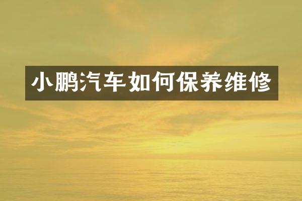 小鹏汽车如何保养维修