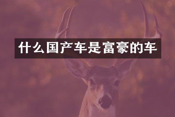 什么国产车是富豪的车