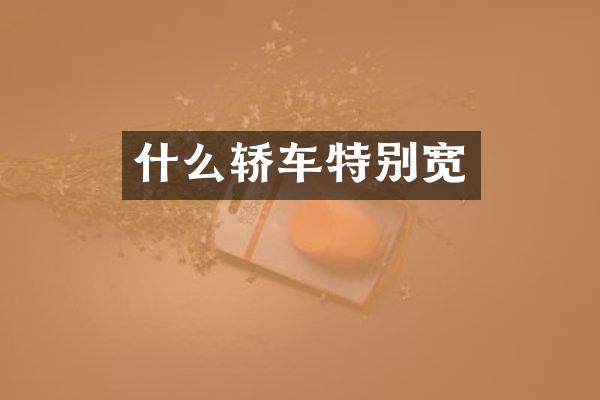 什么轿车特别宽