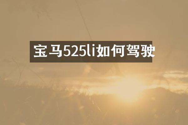 宝马525li如何驾驶