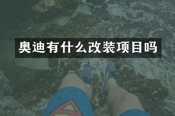 奥迪有什么改装项目吗