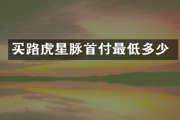 买路虎星脉首付最低多少