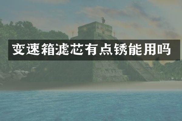 变速箱滤芯有点锈能用吗