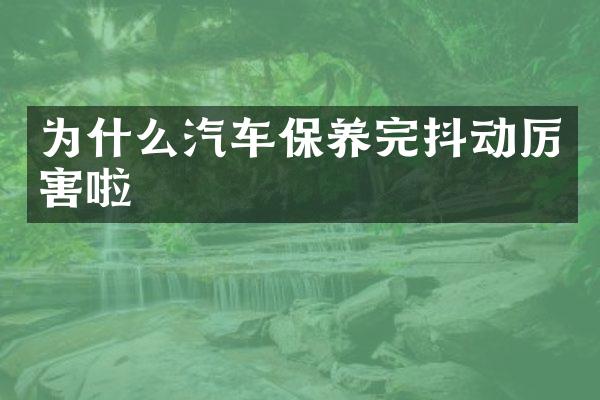为什么汽车保养完抖动厉害啦