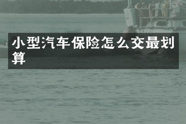 小型汽车保险怎么交最划算