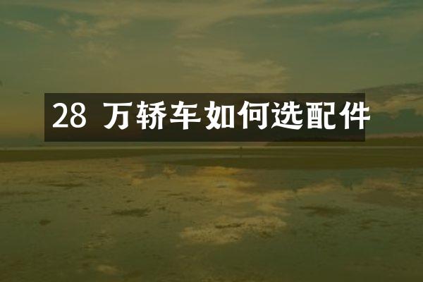 28 万轿车如何选配件