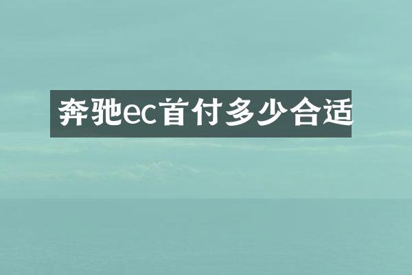 奔驰ec首付多少合适