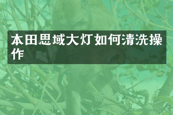 本田思域大灯如何清洗操作
