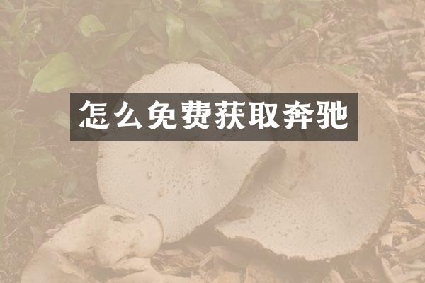 怎么免费获取奔驰