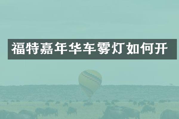福特嘉年华车雾灯如何开