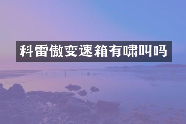科雷傲变速箱有啸叫吗