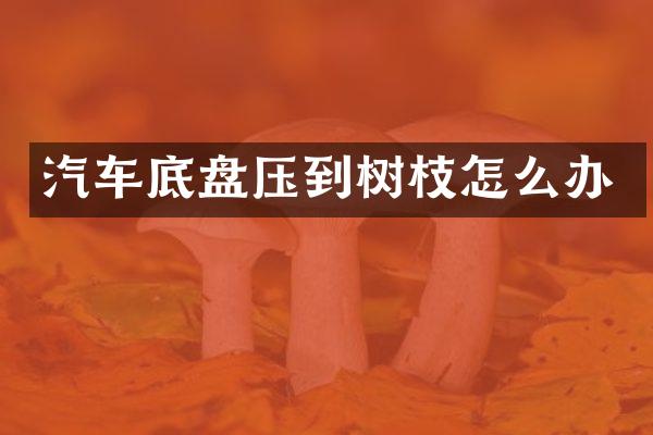汽车底盘压到树枝怎么办
