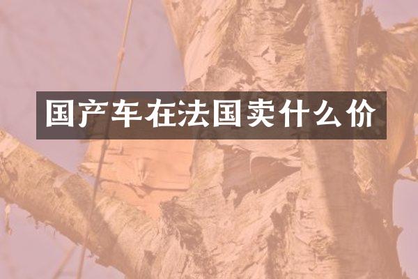 国产车在法国卖什么价