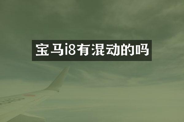 宝马i8有混动的吗